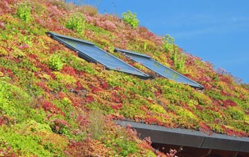 Sparhamhill living roof systems