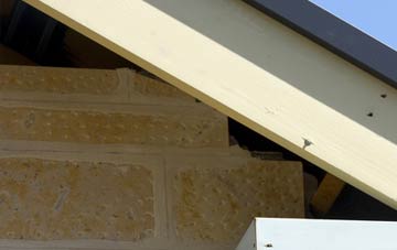 soffit repair Sparhamhill